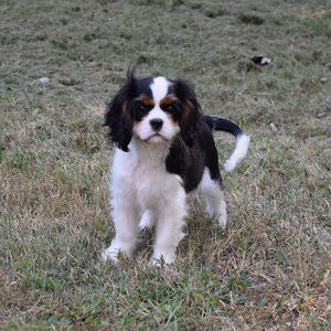 Meet your Posher, Patty